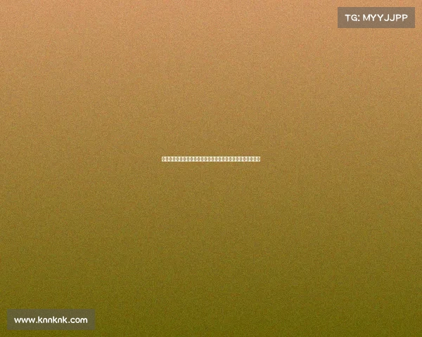 援助成交易工具：乌克兰军队将美国武器转卖黑市赚取非法收入